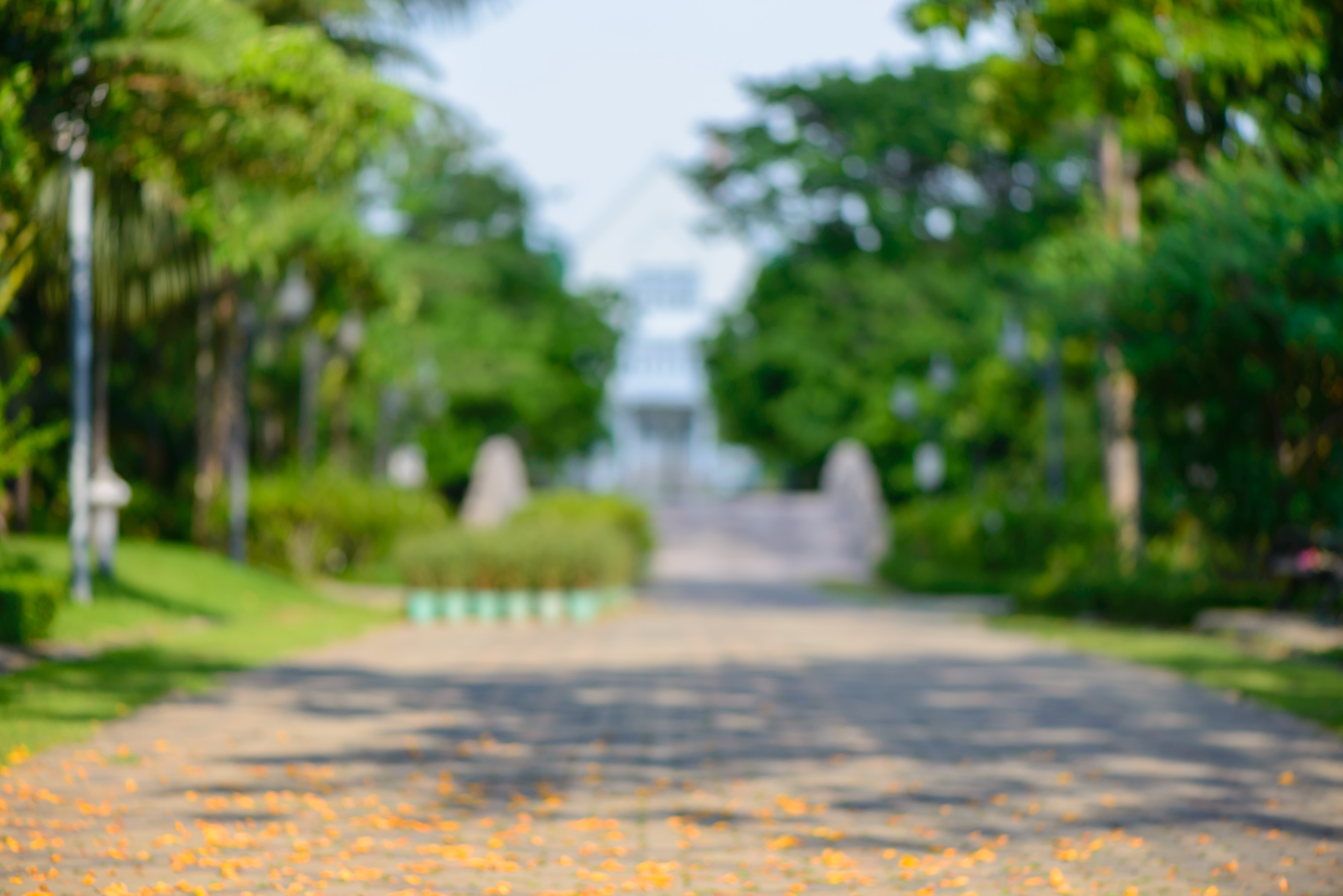 New Boulevard